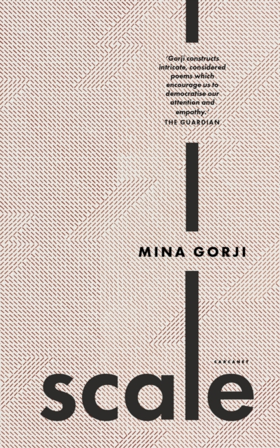 Scale - Mina Gorji