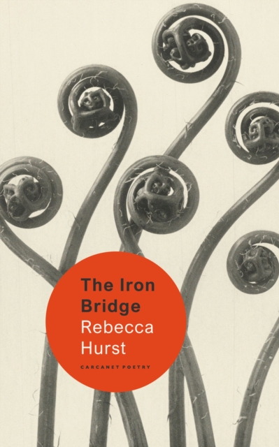 Iron Bridge - Rebecca Hurst