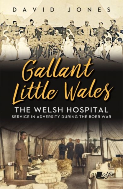 Gallant Little Wales - David Jones