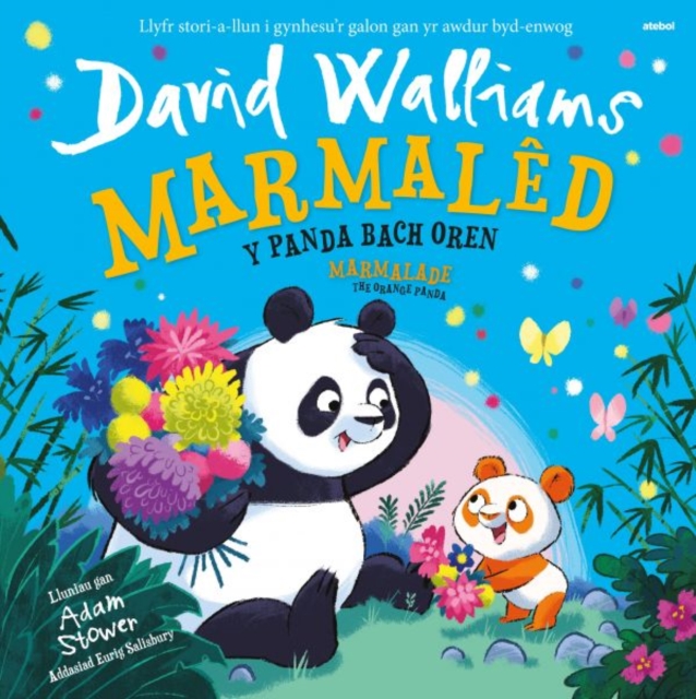 Marmaled - Y Panda Bach Oren / Marmalade - The Orange Panda - David Walliams