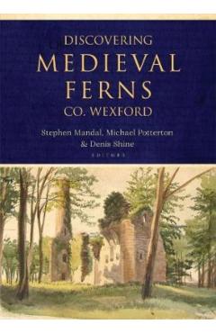 Coperta cărții 'Discovering Medieval Ferns, Co. Wexford -'