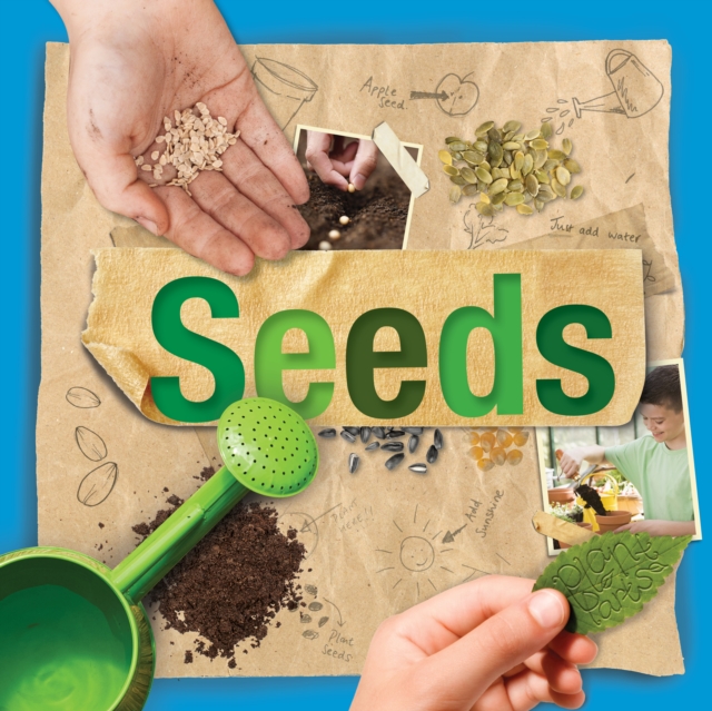 Seeds - Steffi Cavell-clarke