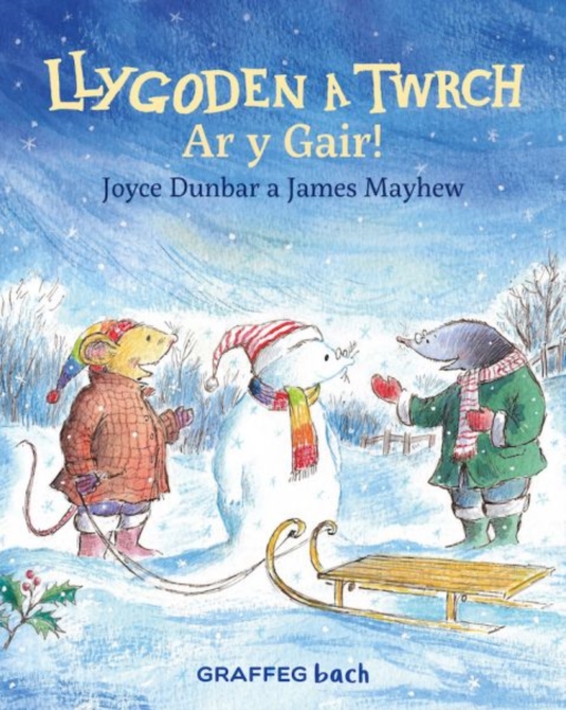 Llygoden a Twrch: Ar y Gair! - Joyce Dunbar