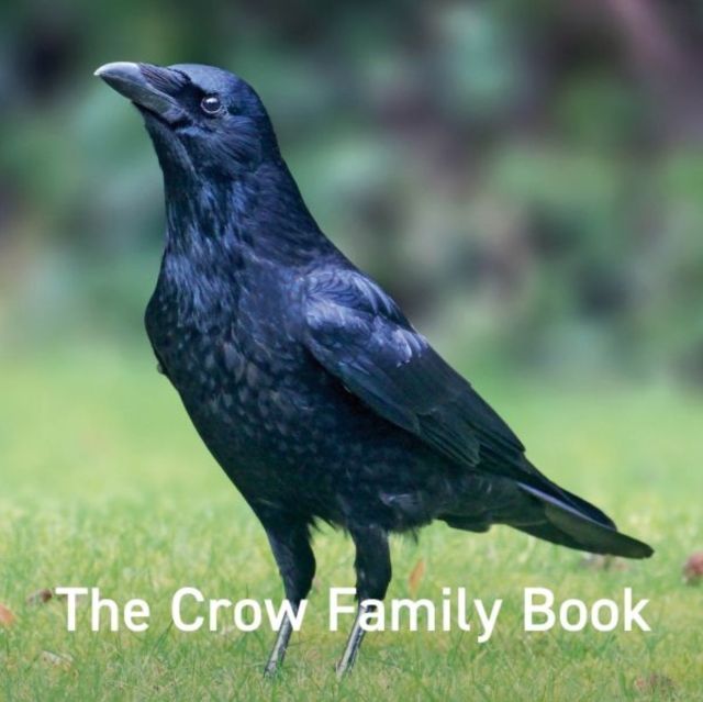 Crow Family Book - Jane Russ