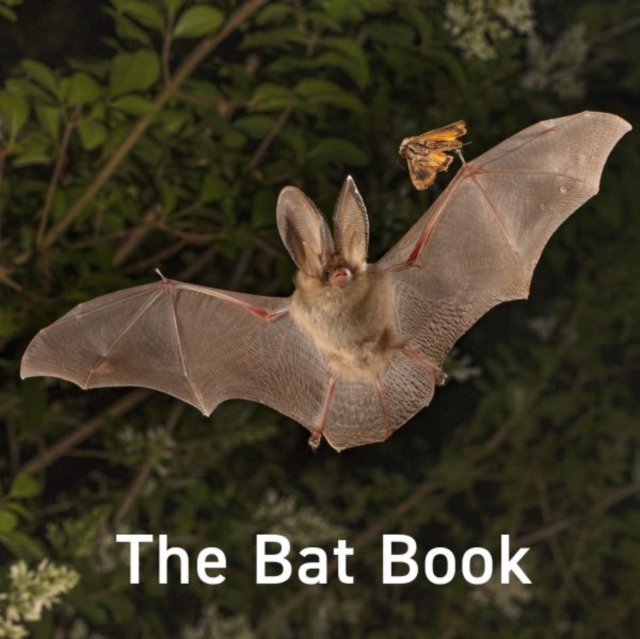 Coperta cărții 'Bat Book - Hugh Warwick'