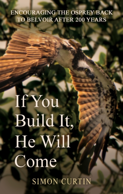 If You Build It, He Will Come - Simon Curtin