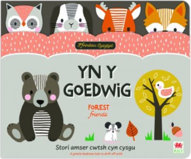 Ffrindiau Cysglyd: yn y Goedwig / Sleepyheads: Forest Friends - Elizabeth Cooke