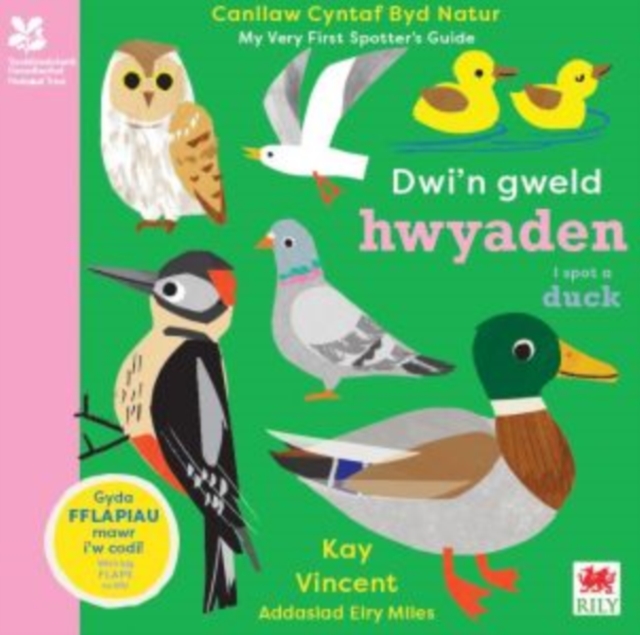 Dwi'n Gweld Hwyaden / I Spot a Duck - Kay Vincent