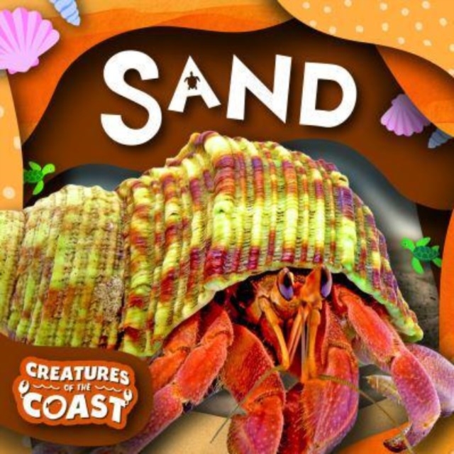 Sand - Noah (booklife Publishing Ltd) Leatherland