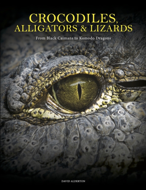 Crocodiles, Alligators & Lizards - David Alderton