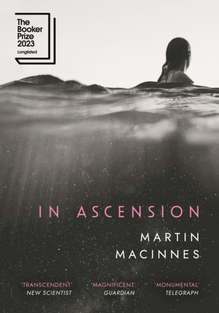 In Ascension - Martin Macinnes