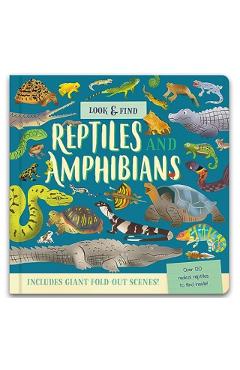 Coperta cărții 'Look & Find - Laura Chamberlain'