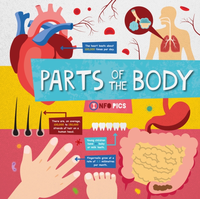 Parts of the Body - Harriet Brundle