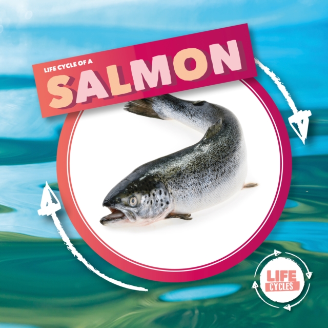 Life Cycle Of A Salmon - Kirsty Holmes