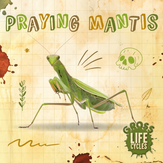 Praying Mantis - William Anthony