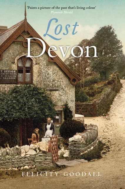 Lost Devon - Felicity Goodall