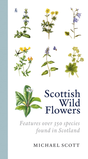 Scottish Wild Flowers - Michael Scott