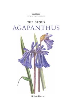 Poza produsului Genus Agapanthus - Graham Duncan