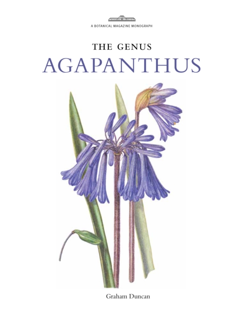 Genus Agapanthus - Graham Duncan
