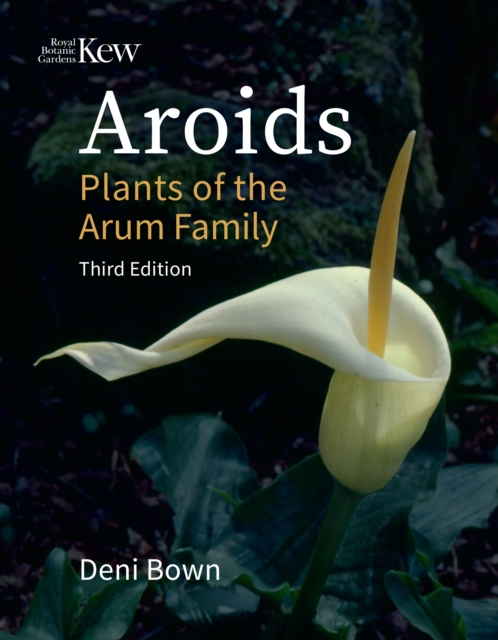 Aroids - Deni Bown