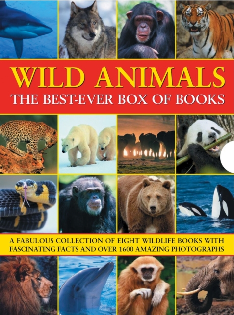 Wild Animals Best Ever Box of Books - Barbara Taylor