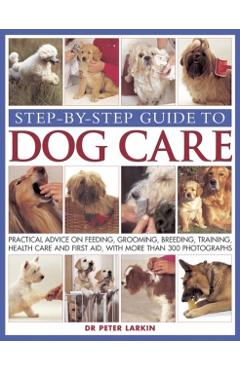Step-by-step Guide to Dog Care