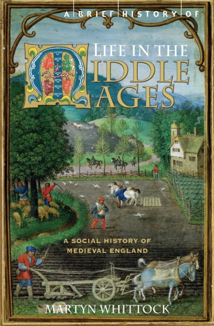 Brief History of Life in the Middle Ages - Martyn Whittock