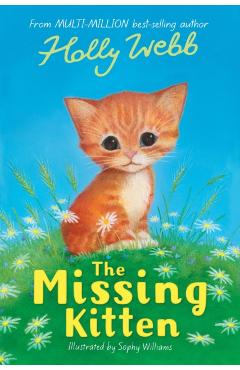 Coperta cărții 'The Missing Kitten - Holly Webb'