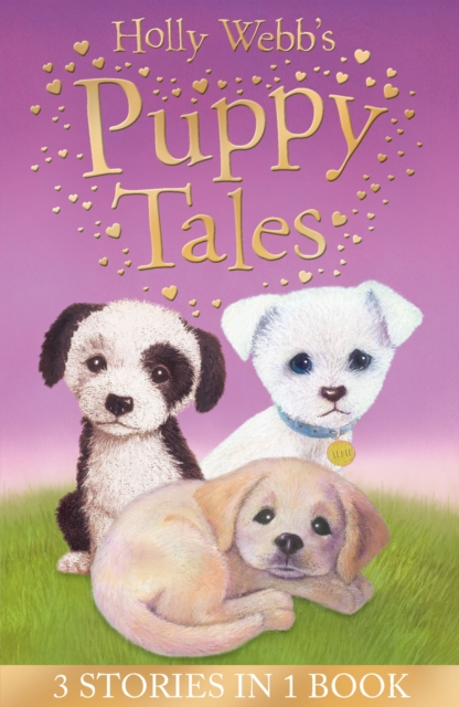 Holly Webb's Puppy Tales - Holly Webb