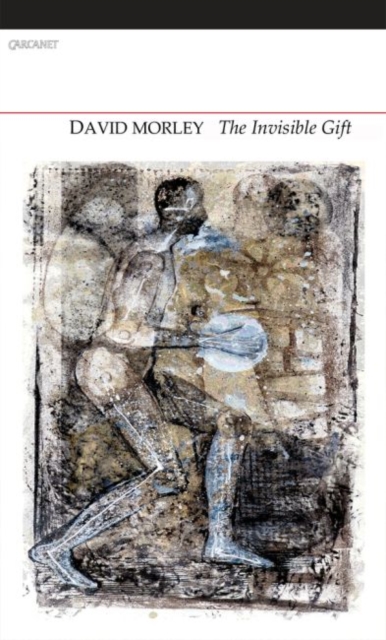 Coperta cărții 'Invisible Gift - David Morley'