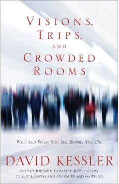 Coperta cărții 'Visions, Trips And Crowded Rooms - David Kessler'