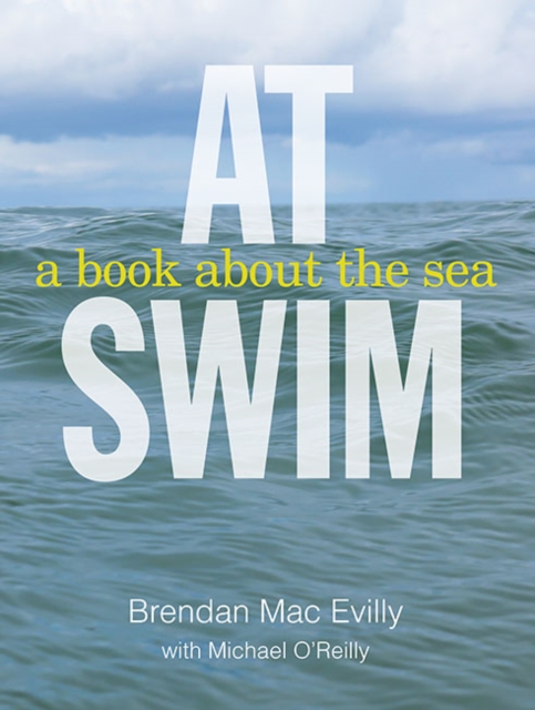 At Swim - Brendan Mac|o'reilly Evilly