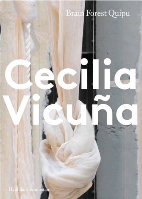 Hyundai Commission: Cecilia Vicuna - 