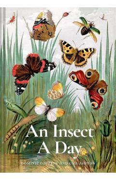 Insect A Day - Dominic|ashton Couzens