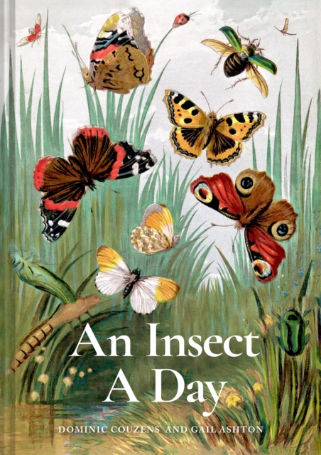 Insect A Day - Dominic|ashton Couzens