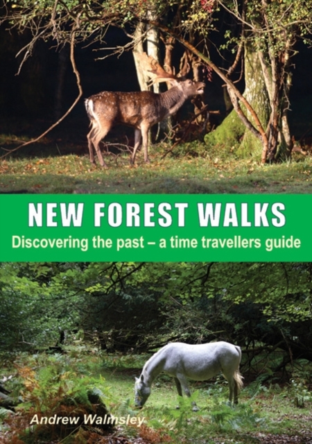 New Forest Walks - Andrew Walmsley