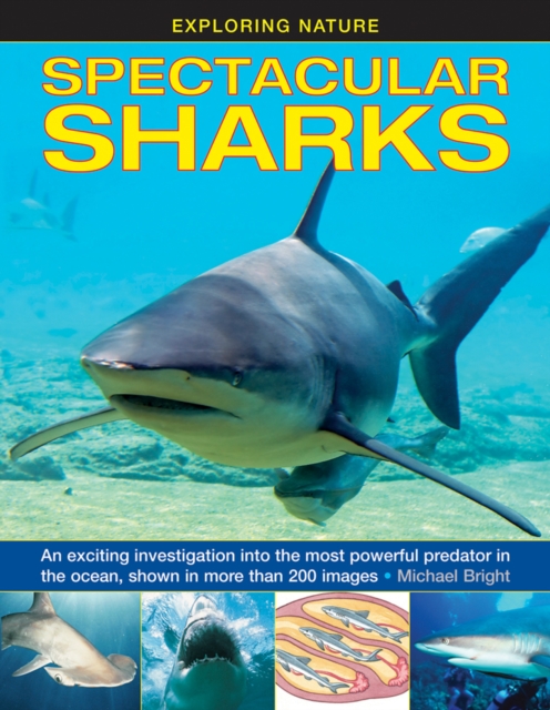 Exploring Nature: Spectacular Sharks - 