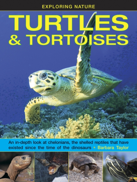 Exploring Nature: Turtles & Tortoises - 