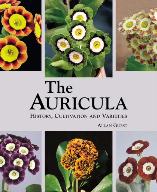 Auricula: History, Cultivation and Varieties - Allan Guest