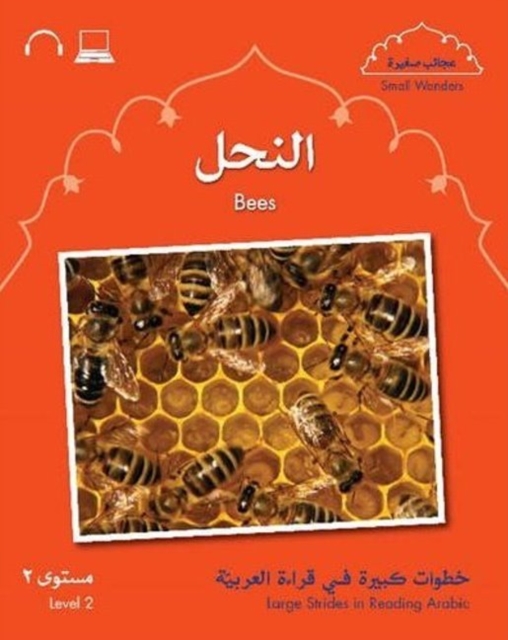 Small Wonders: Bees - Mahmoud|wightwick Gaafar