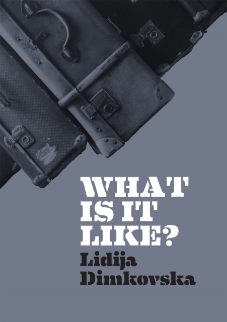 What Is It Like? - Lidija Dimkovska