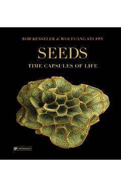 Coperta cărții 'Seeds - Rob|stuppy Kesseler'