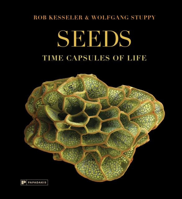 Seeds - Rob|stuppy Kesseler