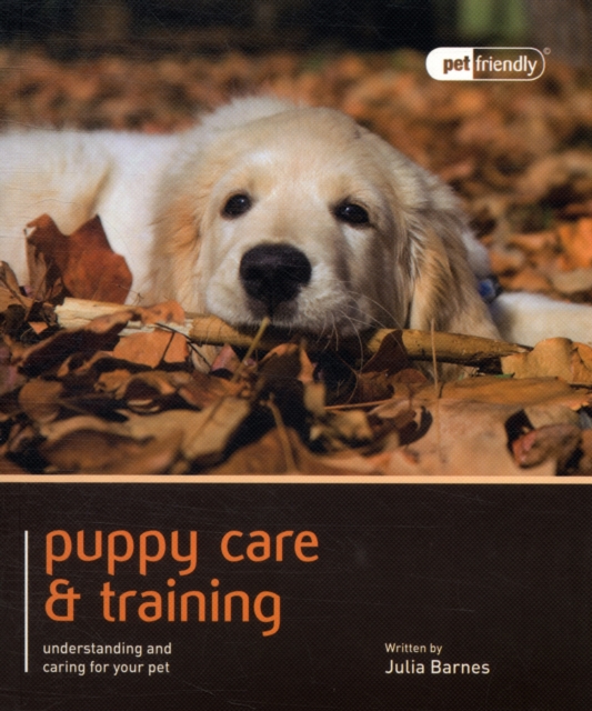 Puppy Training & Care - Pet Friendly - Julie Barnes