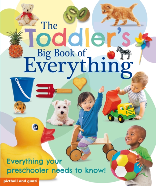 Toddler's Big Book of Everything - Chez Picthall