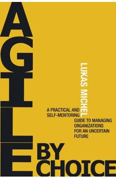 Coperta cărții 'Performance Triangle - Lukas Michel'