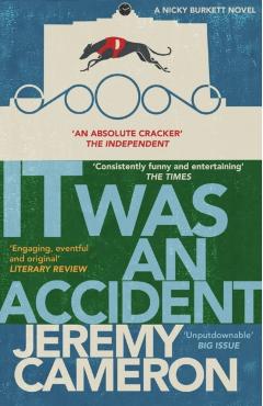 Coperta cărții 'It was An Accident - Jeremy Cameron'