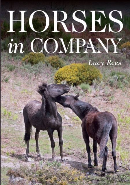 Horses in Company - Lucy Rees