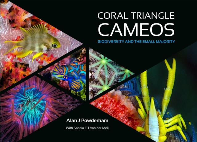 Coral Triangle Cameos - Alan J Powderham