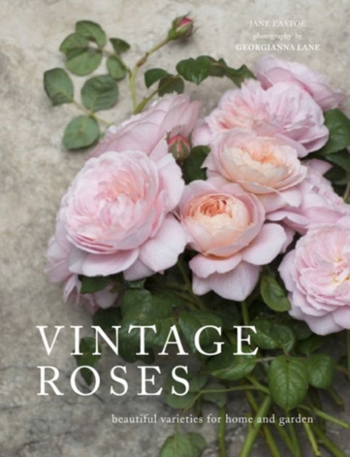 Vintage Roses - Jane Eastoe